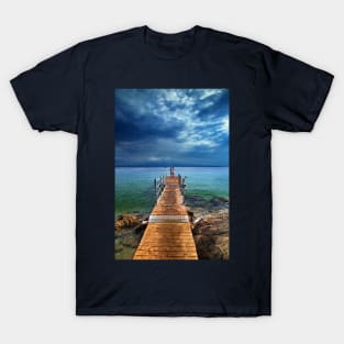 To dive or not to dive? T-Shirt